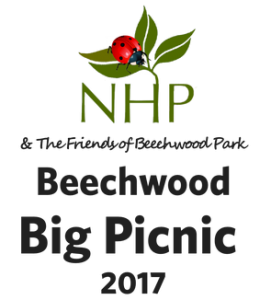 BigPicnic2017